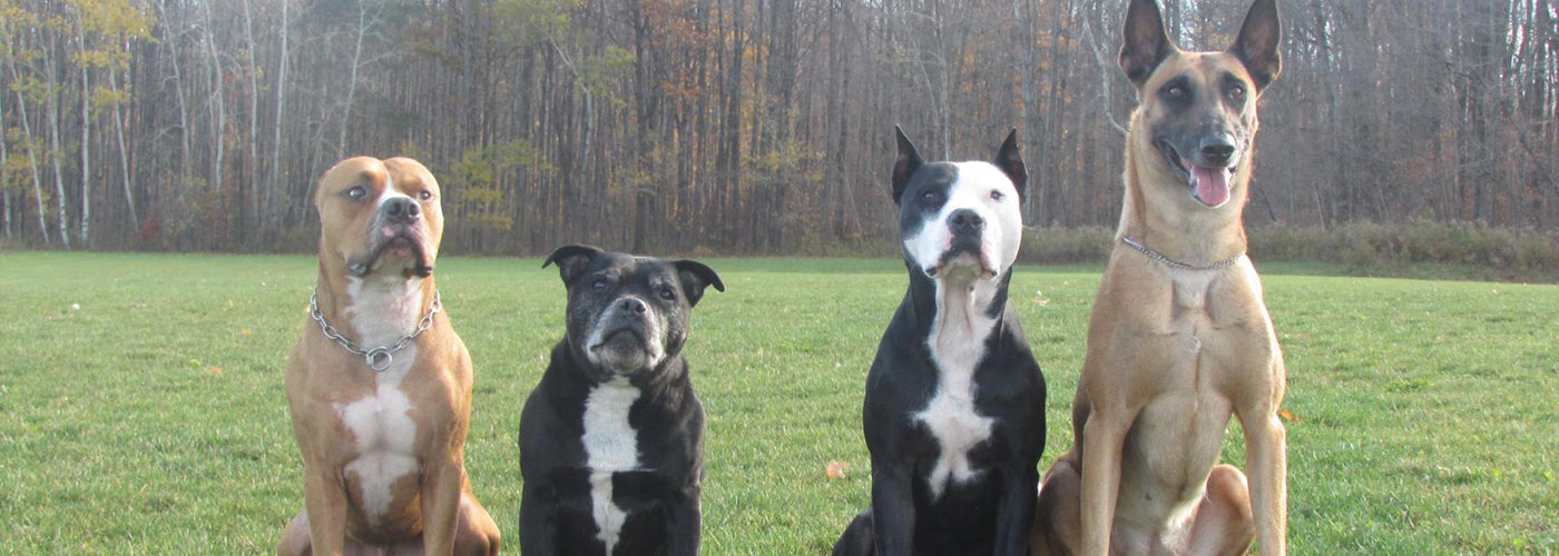 INTERVIEW WITH NOELLE NASCA