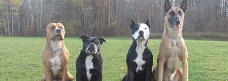 INTERVIEW WITH NOELLE NASCA