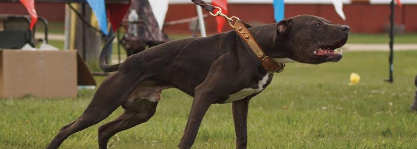 Massage and it's Effect on Recovery