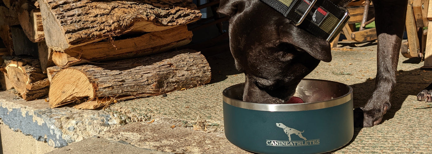 DIY: Bone Broth Recipe