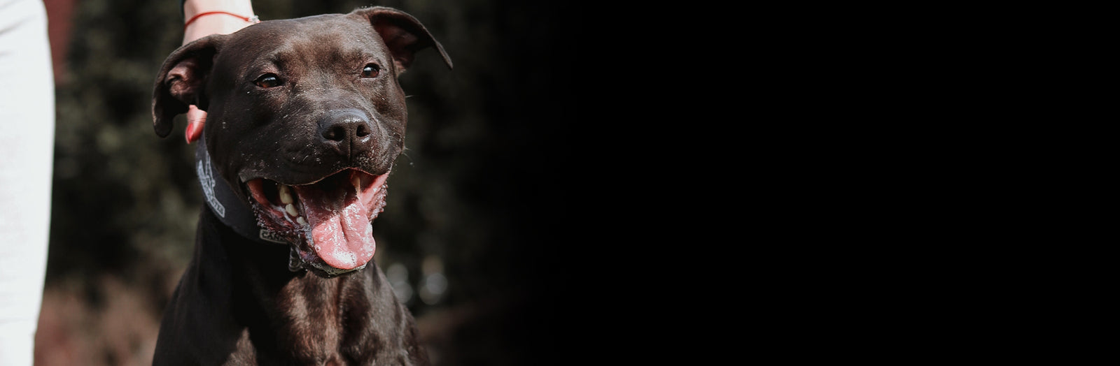 MEMORIAL DAY DISCOUNTS