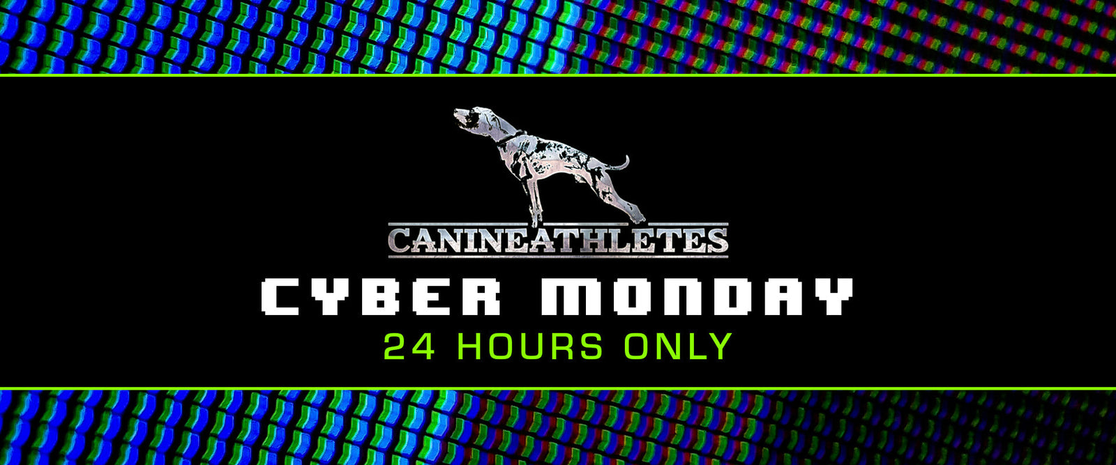 The Cyber Monday Sale