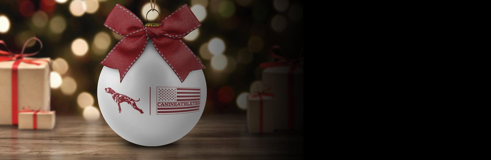 🎁 GIFTS UNDER $300 🎁