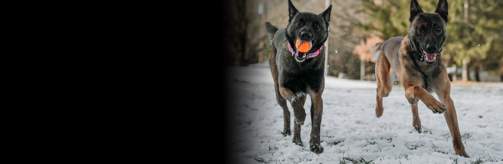 Buy More, Save More Weekend