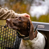 dakota-283-crate-kennel-hunting-working-dog-outdoors