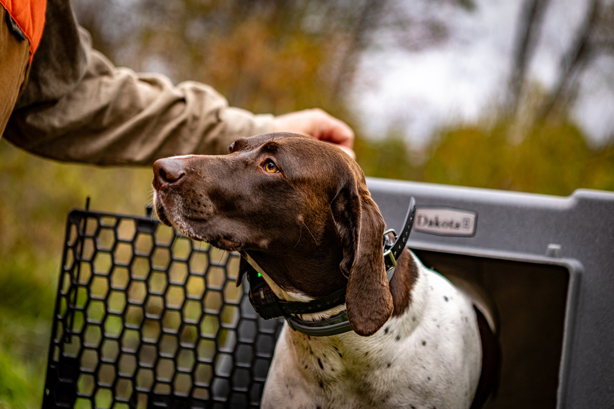 dakota-283-crate-kennel-hunting-working-dog-outdoors