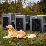 dakota-283-crate-kennel-hunting-working-dog-lifestyle