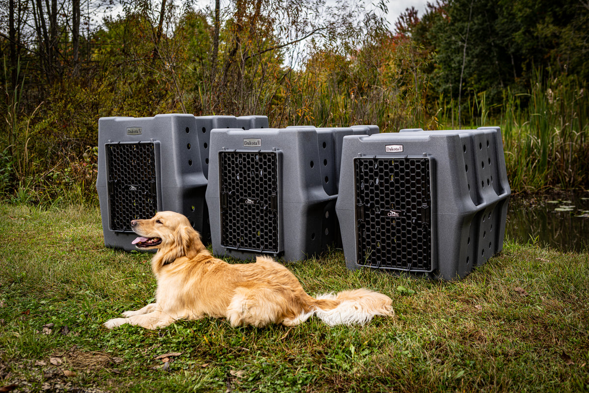 dakota-283-crate-kennel-hunting-working-dog-lifestyle