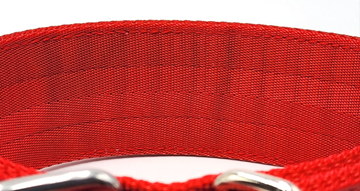 Canine Athletes Red/Black 2&quot; Elite MAX HD Working Dog Collar