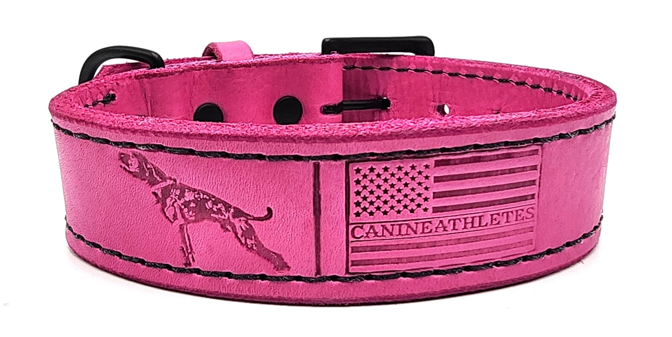 Canine Athletes x TGR Hot Pink Leather Agitation Dog Collar