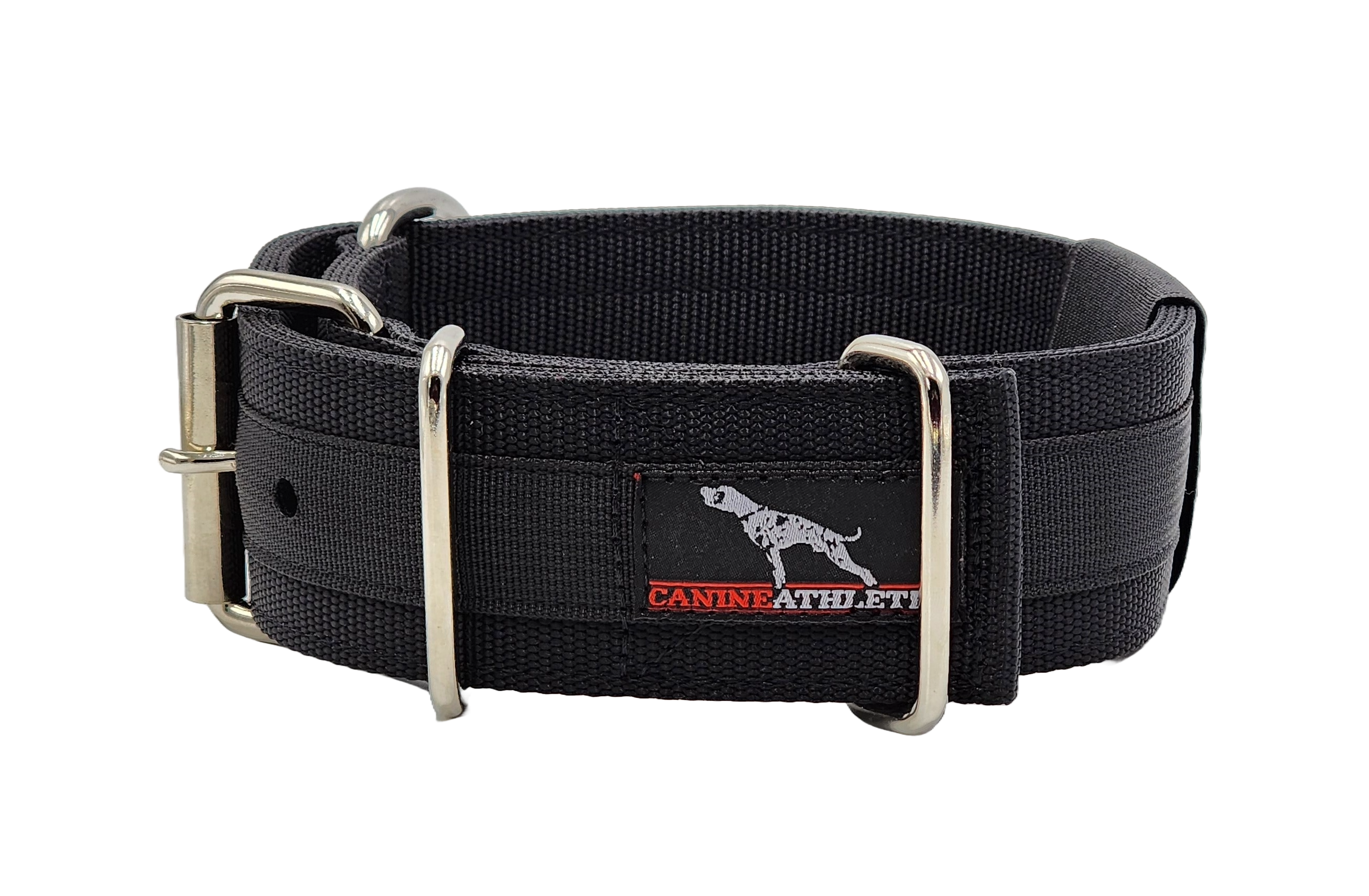 Discount dog outlet collars
