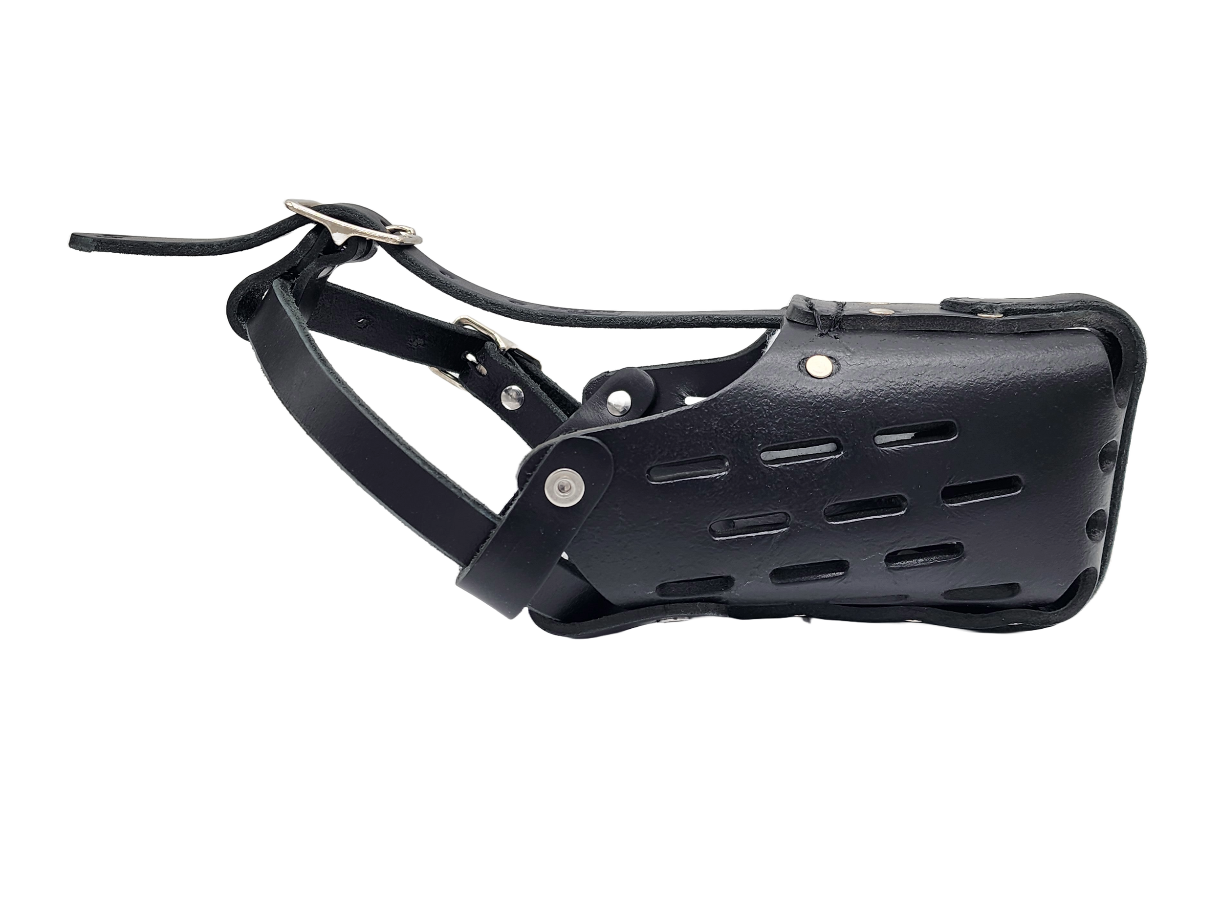 Leather Dog Collars by Canine Athletes