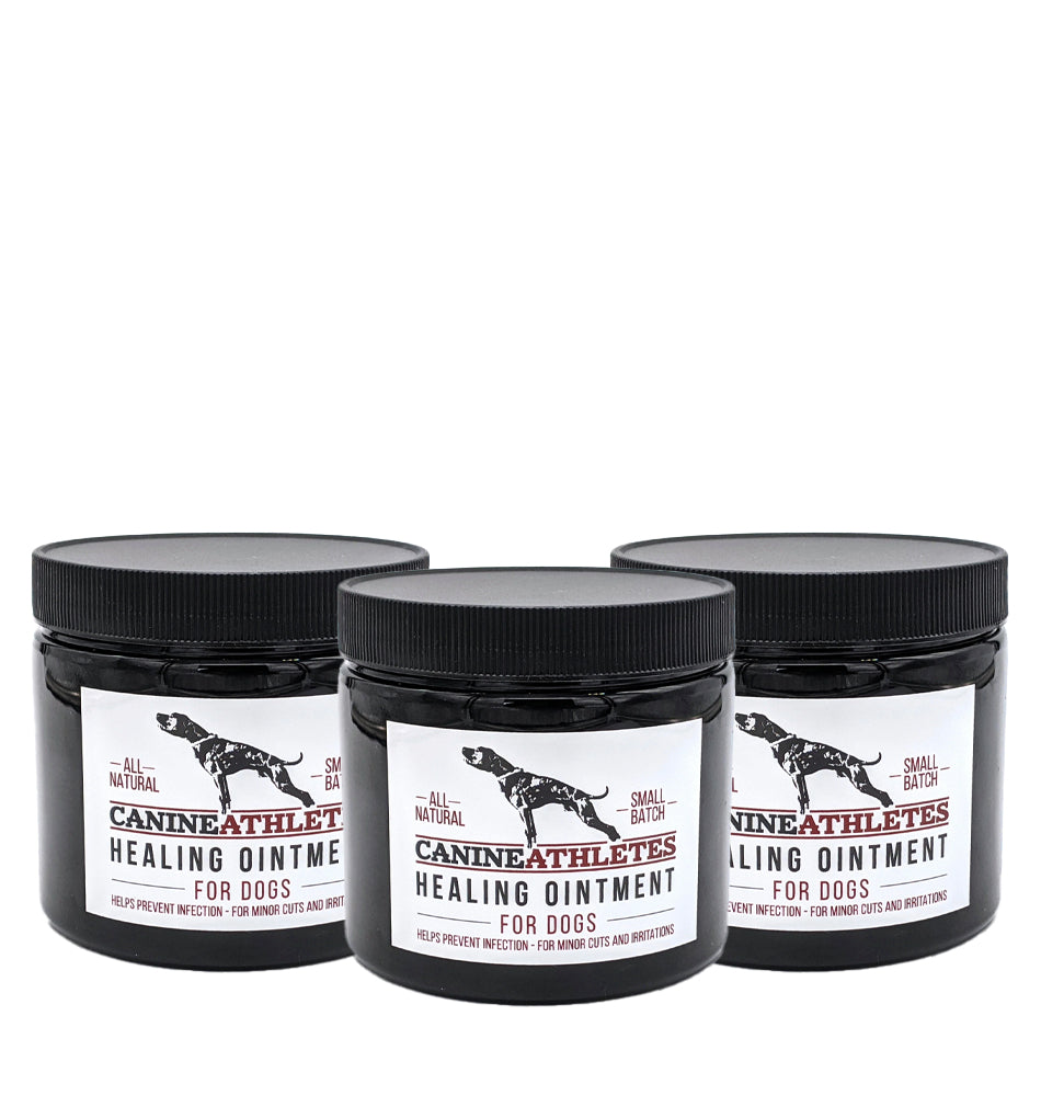 Canine Athletes Healing Ointment 3-Pack