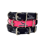 canine-athletes-puppy-collar-bundle