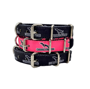 canine-athletes-puppy-collar-bundle