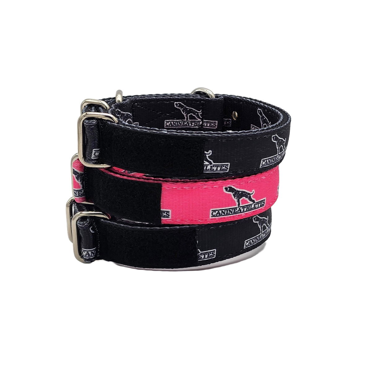 canine-athletes-puppy-collar-bundle-1