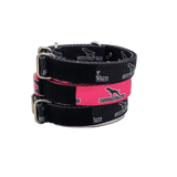 canine-athletes-puppy-collar-bundle-1