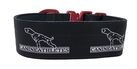 canine-athletes-sport-hd-v2-quick-release-dog-collar-black-red-3