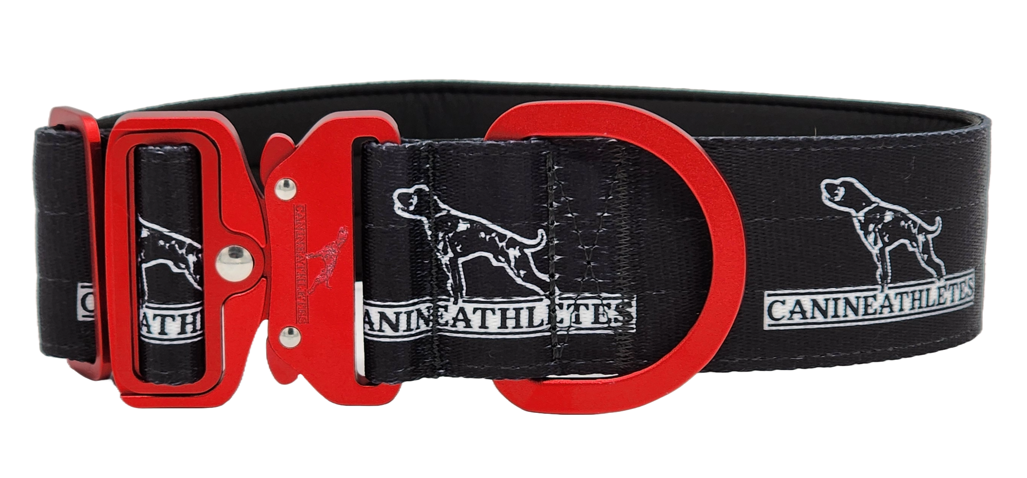 Dog Collars for Training Sporting Dogs by Canine Athletes