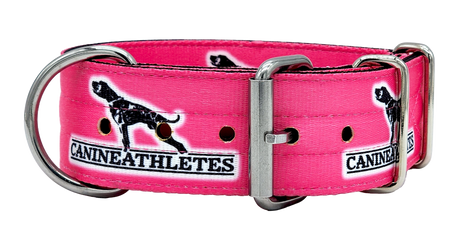canine-athletes-2"-heavy-duty-hot-pink-working-dog-collar-2