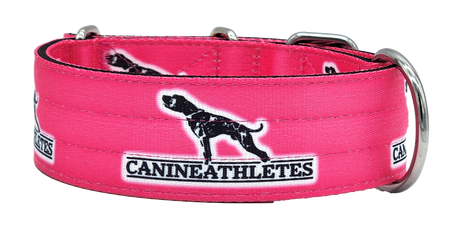 canine-athletes-2"-heavy-duty-hot-pink-working-dog-collar
