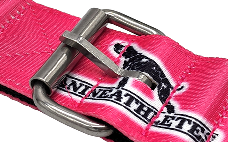 canine-athletes-2"-heavy-duty-hot-pink-working-dog-collar-3
