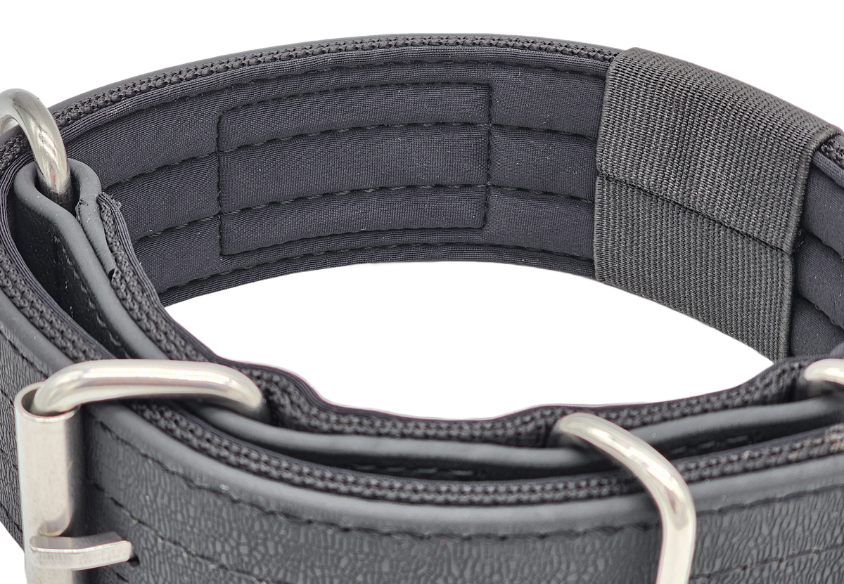 canine-athletes-ap-sport-hybrid-heavy-duty-dog-collar-2