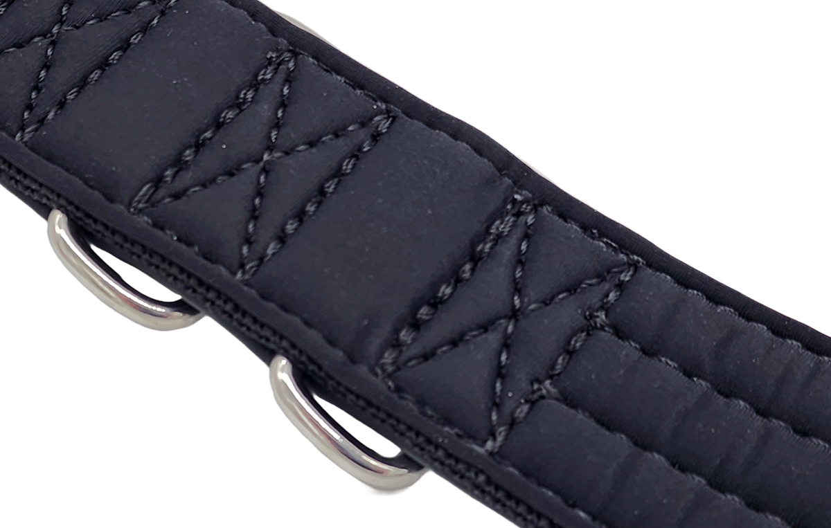 canine-athletes-ap-sport-hybrid-heavy-duty-dog-collar-3