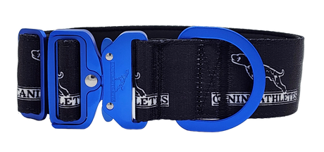 canine-athletes-sport-hd-v2-quick-release-buckle-padded-collar-black-blue