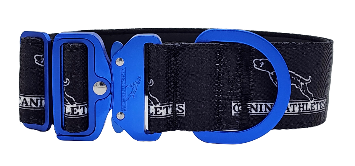canine-athletes-sport-hd-v2-quick-release-buckle-padded-collar-black-blue