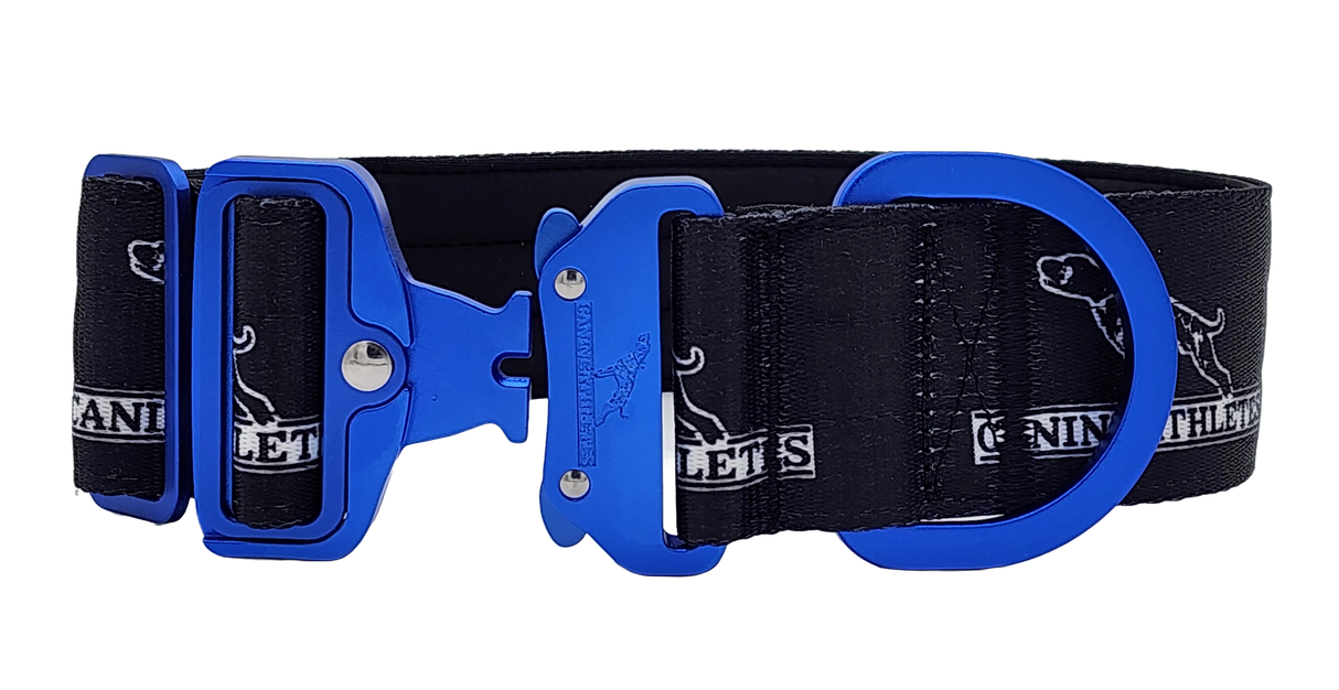 canine-athletes-sport-hd-v2-quick-release-buckle-padded-collar-black-blue-2