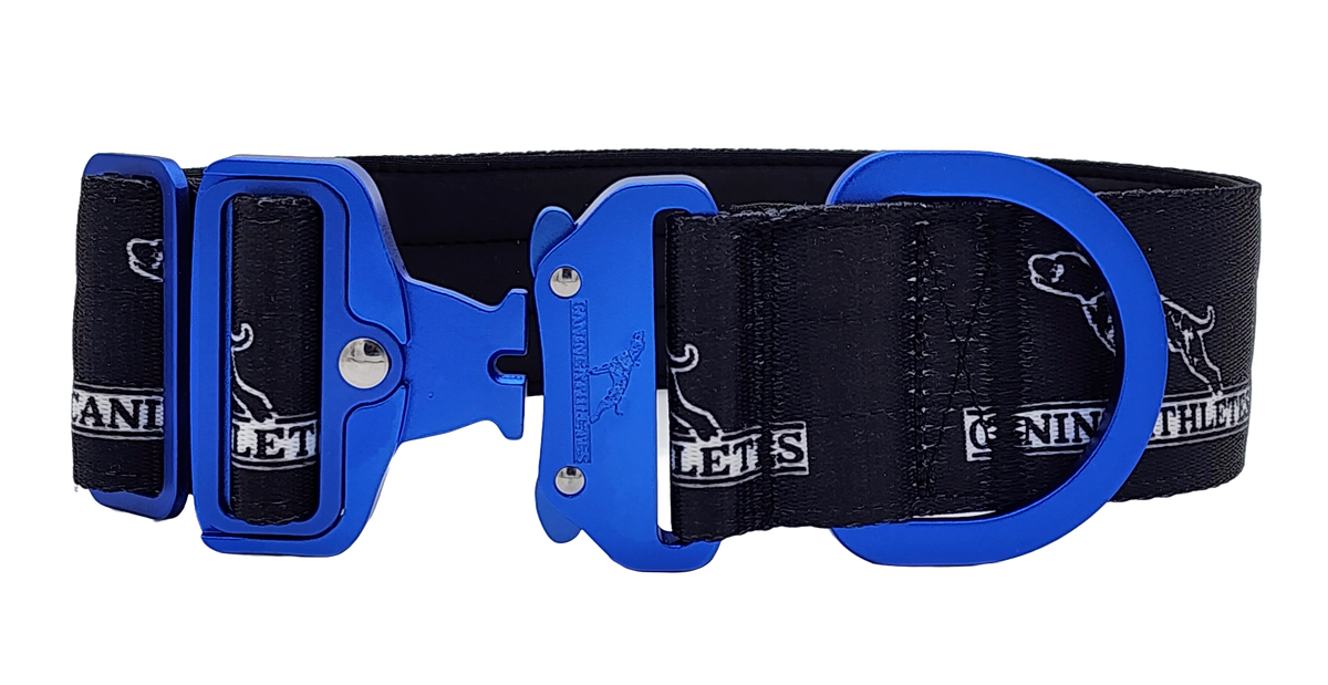 canine-athletes-sport-hd-v2-quick-release-buckle-padded-collar-black-blue-2
