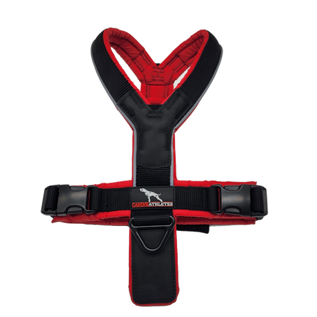 canine-athletes-sport-hd-v2-dog-harness-red-black-1