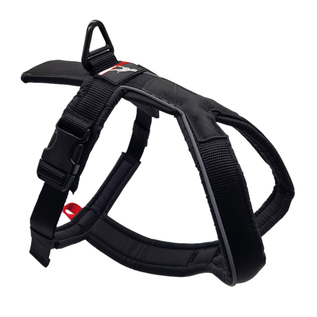 canine-athletes-sport-hd-v2-dog-harness-black