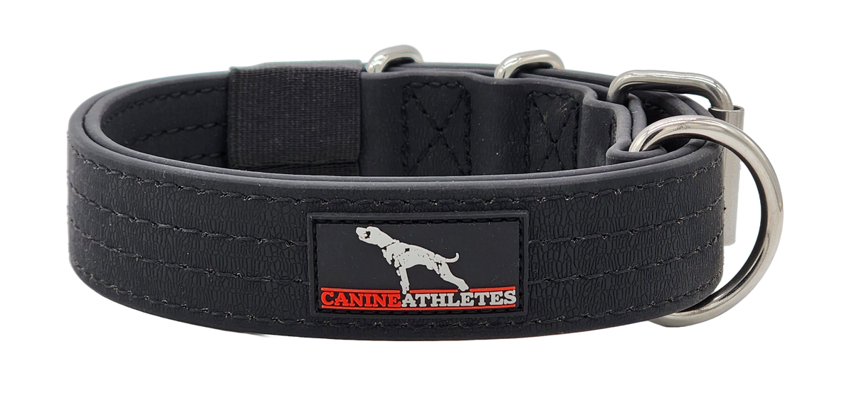 canine-athletes-ap-sport-waterproof-dog-collar-1.5-black