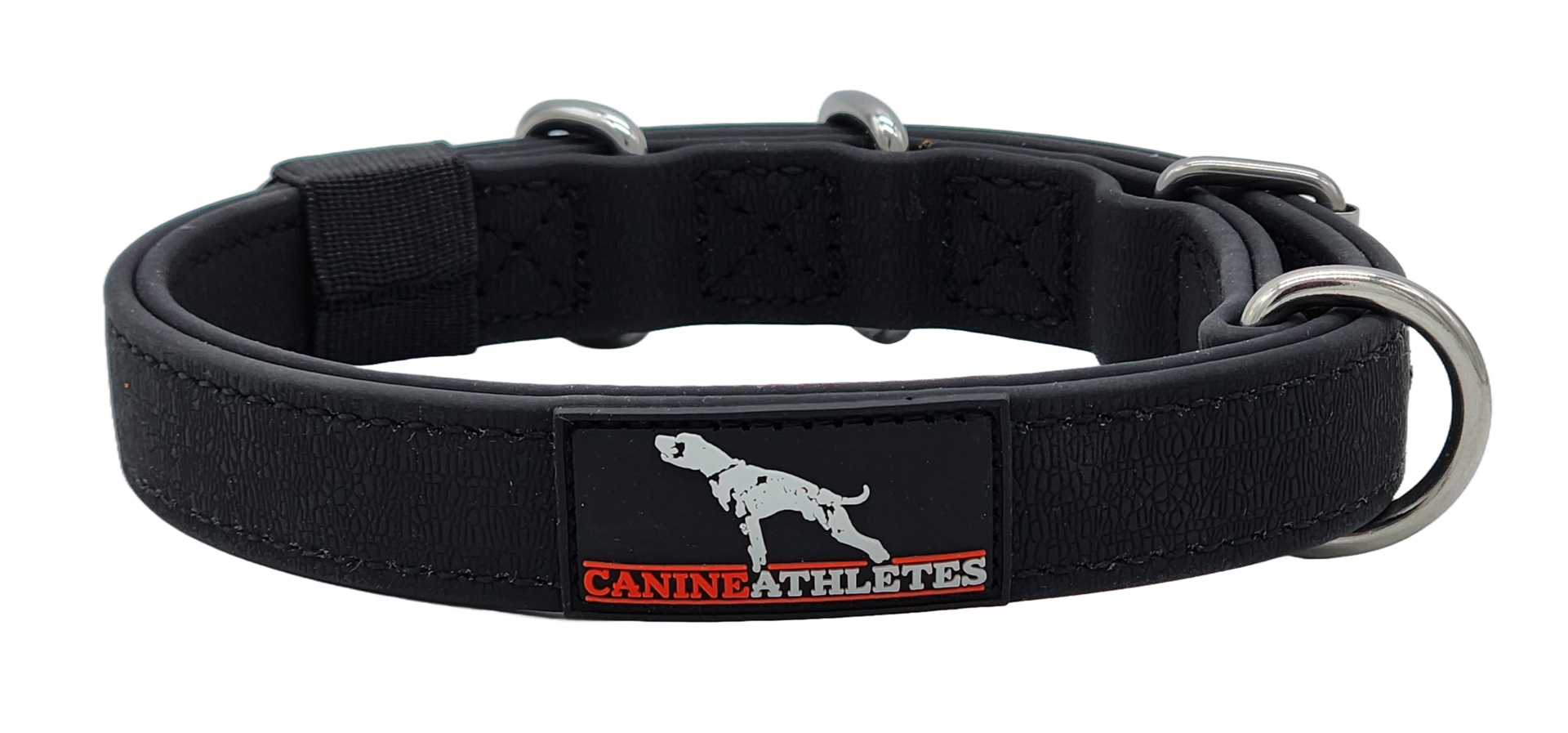 Canine Athletes | 1