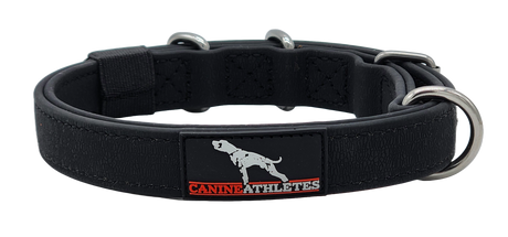 canine-athletes-1-inch-ap-sport-waterproof-working-dog-collar-1