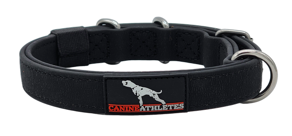 Canine Athletes | 1