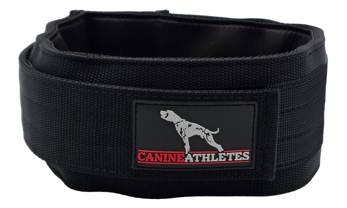 canine-athletes-elite-hd-weighted-dog-training-exercise-working-collar-black