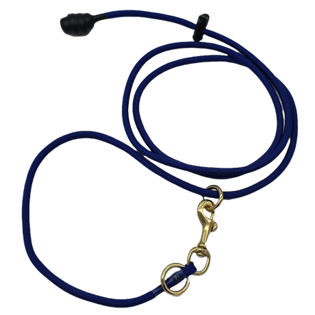 rader-k9-6-foot-slip-lead-dog-training-leash-electric-blue