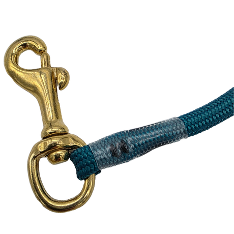 rader-k9-traffic-tab-training-control-lead-leash-snap-teal