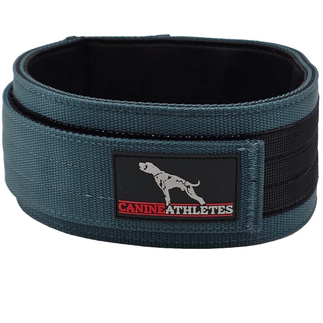 Canine Athletes 3&quot; Elite-HD Weighted Working Dog Collar