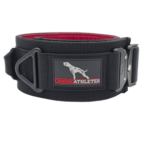canine athletes venator padded working dog collar with padding and handle
