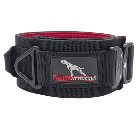 canine athletes venator padded working dog collar with padding and handle