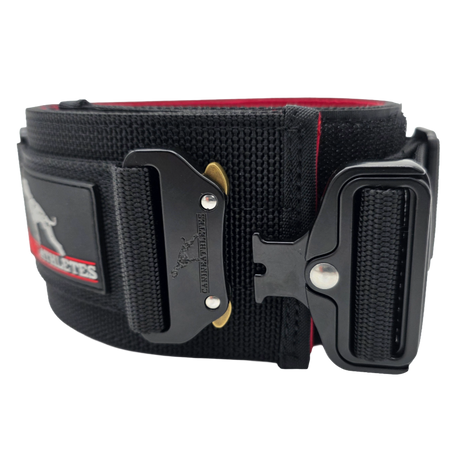 canine athletes 3" wide working dog agitation collar with padding and control handle