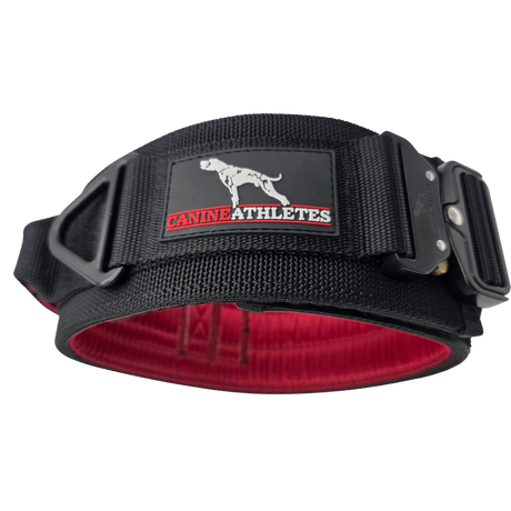 canine athletes venator padded working dog collar with control handle and padding