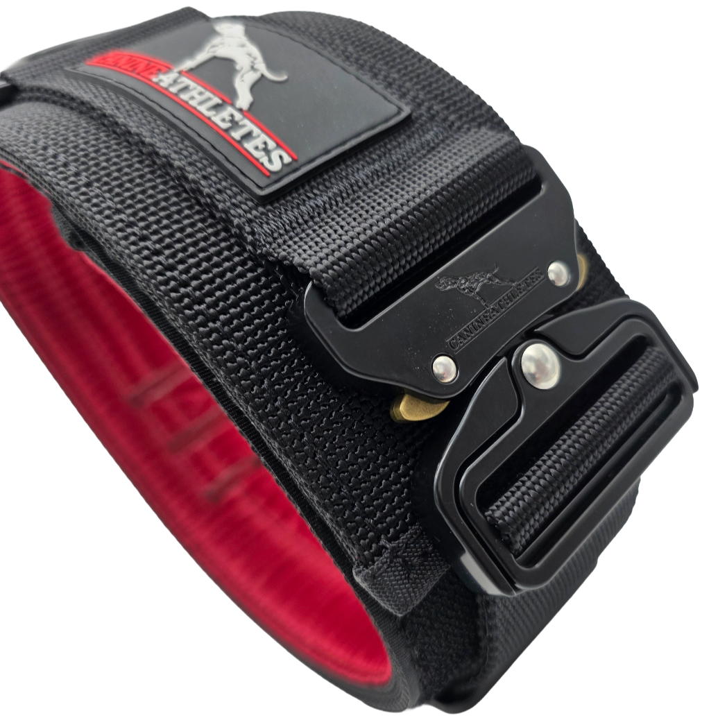 canine athletes venator working dog agitation collar with padding and control handle