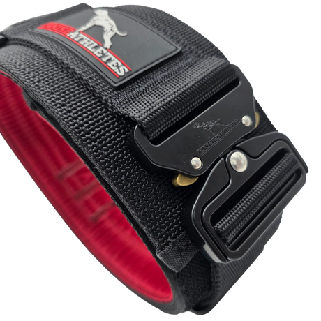 canine athletes venator working dog agitation collar with padding and control handle