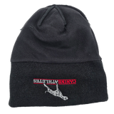 canine athletes inside winter hat beanie fleece