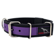 canine athletes pro-hd black purple working dog collar heavy duty